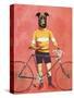 Greyhound Cyclist-Fab Funky-Stretched Canvas