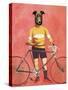Greyhound Cyclist-Fab Funky-Stretched Canvas