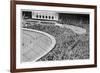 Greyhound Derby at White City-null-Framed Photographic Print