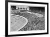 Greyhound Derby at White City-null-Framed Photographic Print