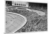 Greyhound Derby at White City-null-Mounted Photographic Print