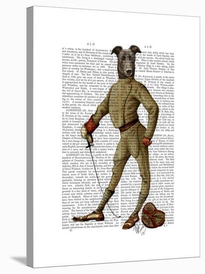 Greyhound Fencer Dark Full-Fab Funky-Stretched Canvas