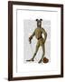 Greyhound Fencer Dark Full-Fab Funky-Framed Art Print