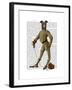 Greyhound Fencer Dark Full-Fab Funky-Framed Art Print