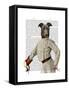 Greyhound Fencer in Cream Portrait-Fab Funky-Framed Stretched Canvas