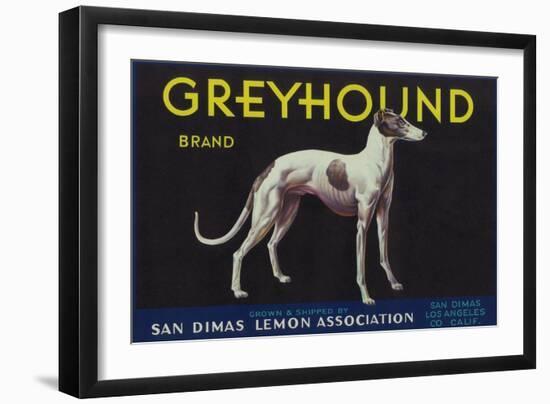 Greyhound Lemon Label - San Dimas, CA-Lantern Press-Framed Art Print