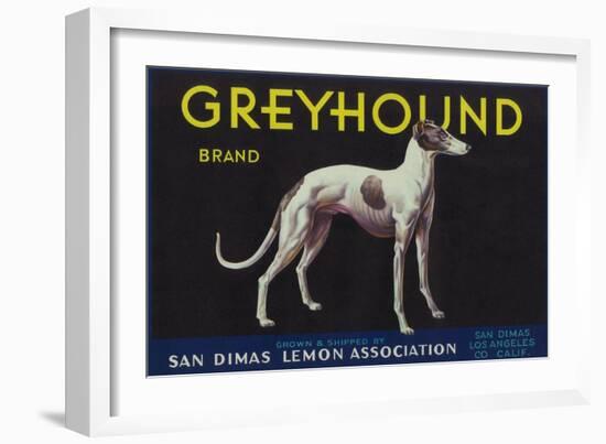 Greyhound Lemon Label - San Dimas, CA-Lantern Press-Framed Art Print