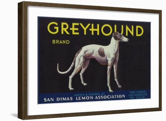 Greyhound Lemon Label - San Dimas, CA-Lantern Press-Framed Art Print