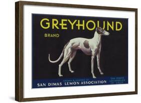 Greyhound Lemon Label - San Dimas, CA-Lantern Press-Framed Art Print