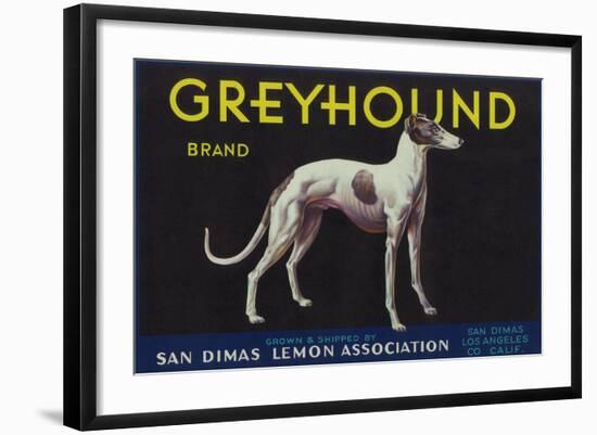 Greyhound Lemon Label - San Dimas, CA-Lantern Press-Framed Art Print