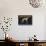 Greyhound Lemon Label - San Dimas, CA-Lantern Press-Stretched Canvas displayed on a wall