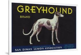 Greyhound Lemon Label - San Dimas, CA-Lantern Press-Framed Art Print