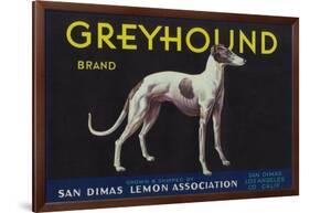 Greyhound Lemon Label - San Dimas, CA-Lantern Press-Framed Art Print