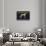 Greyhound Lemon Label - San Dimas, CA-Lantern Press-Stretched Canvas displayed on a wall