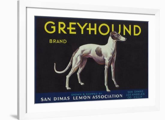 Greyhound Lemon Label - San Dimas, CA-Lantern Press-Framed Premium Giclee Print