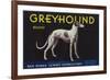 Greyhound Lemon Label - San Dimas, CA-Lantern Press-Framed Premium Giclee Print