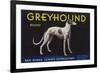 Greyhound Lemon Label - San Dimas, CA-Lantern Press-Framed Premium Giclee Print