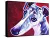 Greyhound - Myrtle-Dawgart-Stretched Canvas