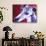 Greyhound - Myrtle-Dawgart-Giclee Print displayed on a wall