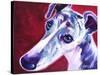 Greyhound - Myrtle-Dawgart-Stretched Canvas