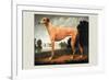 Greyhound on a Parkland Landscape-Christine Merrill-Framed Art Print