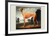 Greyhound on a Parkland Landscape-Christine Merrill-Framed Art Print