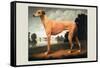 Greyhound on a Parkland Landscape-Christine Merrill-Framed Stretched Canvas