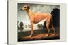 Greyhound on a Parkland Landscape-Christine Merrill-Stretched Canvas