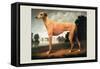 Greyhound on a Parkland Landscape-Christine Merrill-Framed Stretched Canvas