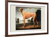 Greyhound on a Parkland Landscape-Christine Merrill-Framed Art Print