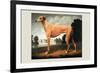 Greyhound on a Parkland Landscape-Christine Merrill-Framed Art Print