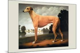 Greyhound on a Parkland Landscape-Christine Merrill-Mounted Art Print