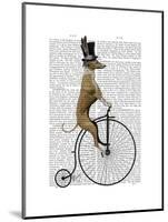 Greyhound on Black Penny Farthing Bike-Fab Funky-Mounted Art Print