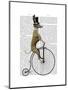 Greyhound on Black Penny Farthing Bike-Fab Funky-Mounted Art Print