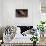 Greyhound Portrait-Adriano Bacchella-Stretched Canvas displayed on a wall