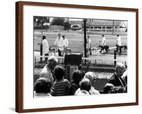 Greyhound Race Meeting-null-Framed Photographic Print
