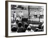 Greyhound Race Meeting-null-Framed Photographic Print