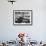 Greyhound Race Meeting-null-Framed Photographic Print displayed on a wall