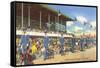 Greyhound Racing, Florida-null-Framed Stretched Canvas