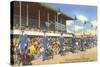 Greyhound Racing, Florida-null-Stretched Canvas