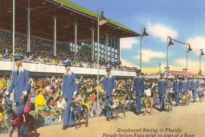 Greyhound Racing, Florida' Prints