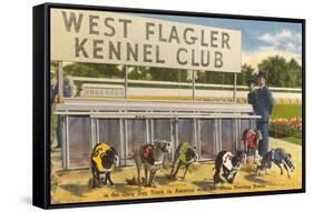 Greyhound Track, Flagler, Florida-null-Framed Stretched Canvas