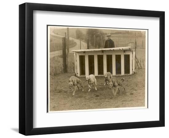 Premium Photographic Print, , large
