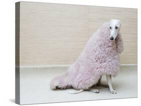 Greyhound Wearing a Pink Rug-Estelle Klawitter-Stretched Canvas