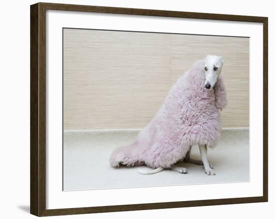 Greyhound Wearing a Pink Rug-Estelle Klawitter-Framed Photographic Print