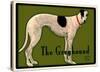 Greyhound-Laura Wilder-Stretched Canvas
