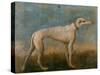 Greyhound-Giovanni Battista Tiepolo-Stretched Canvas