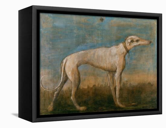 Greyhound-Giovanni Battista Tiepolo-Framed Stretched Canvas