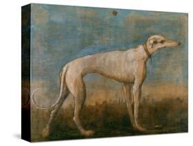 Greyhound-Giovanni Battista Tiepolo-Stretched Canvas