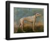 Greyhound-Giovanni Battista Tiepolo-Framed Giclee Print